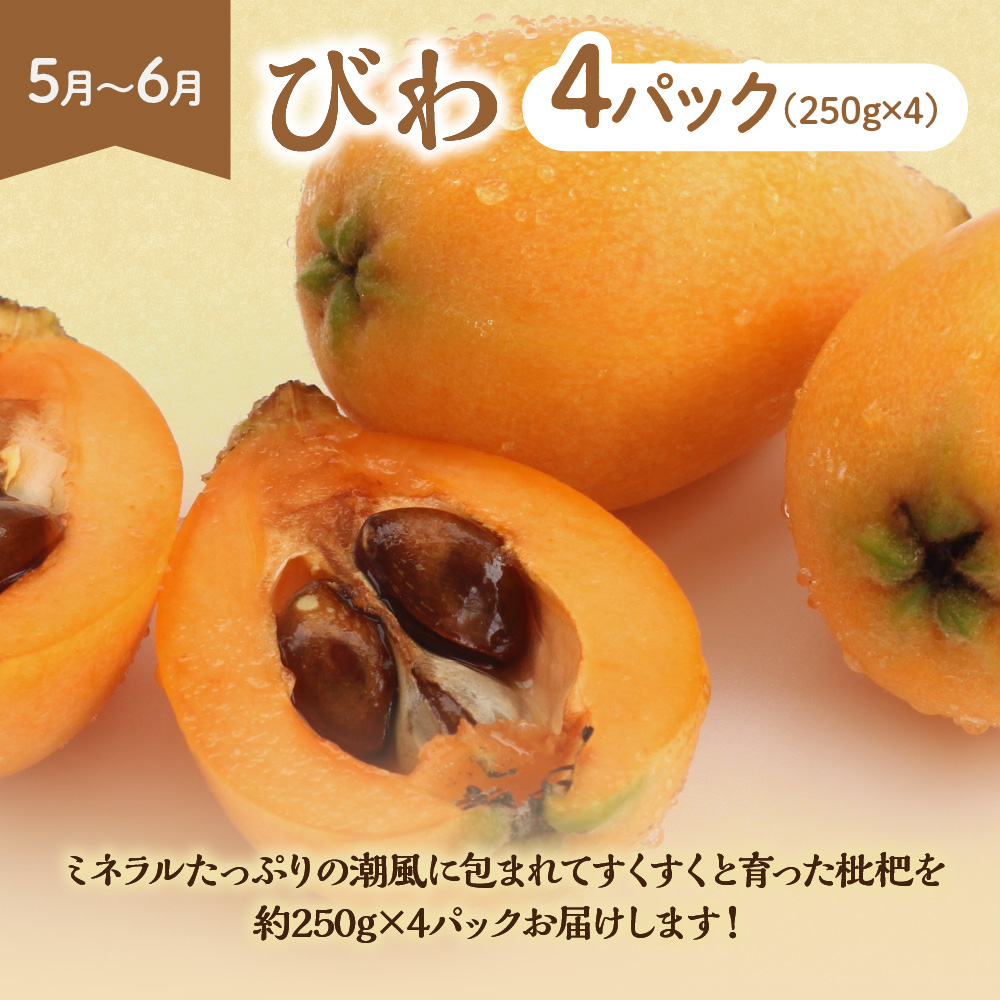 【定期便/年6回】むなかた旬のフルーツ6回定期便【ほたるの里】_HB0090