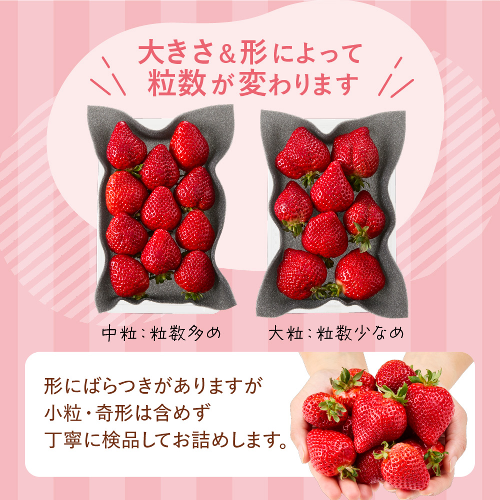 オーガニックあまおう「いせいちご」2パック(280g×2)【伊世いちご畑】_HA1116