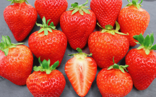 1月より順次発送！「博多あまおう」EX　贈答用化粧箱　約450g 1箱【ほたるの里】_HA0752