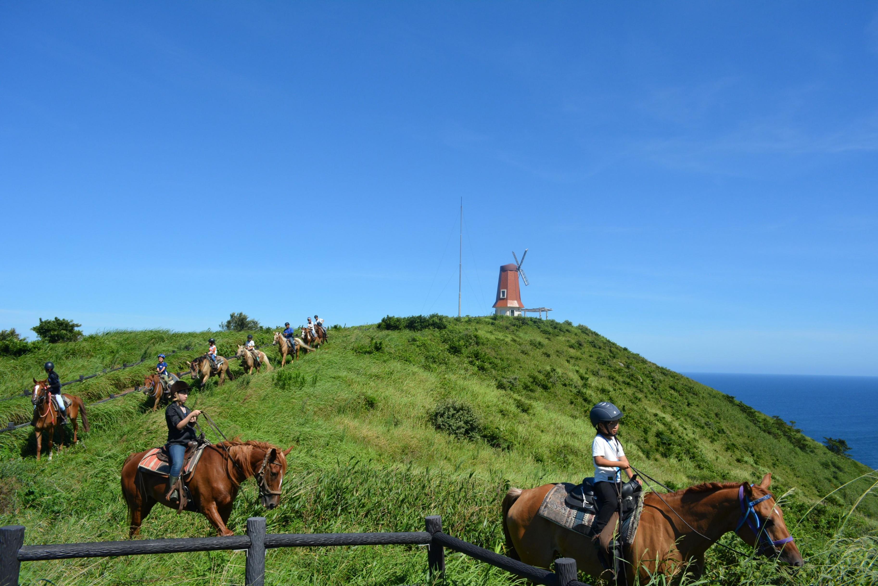 ä¹éЬäœéšãã±ãã é¢å³¶ 倧島ã³ãŒã¹ ãã«ããã£ã¢ã³ãã£ã³ãä¹éЬã¯ã©ãã_HA1711