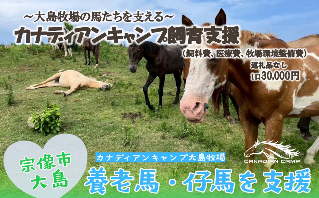 【返礼品なし】引退馬・仔馬の飼育支援 30,000円【カナディアンキャンプ乗馬クラブ】_HA2057 馬 仔馬 飼育支援 牧場 福岡県宗像市 宗像市 福岡 宗像
