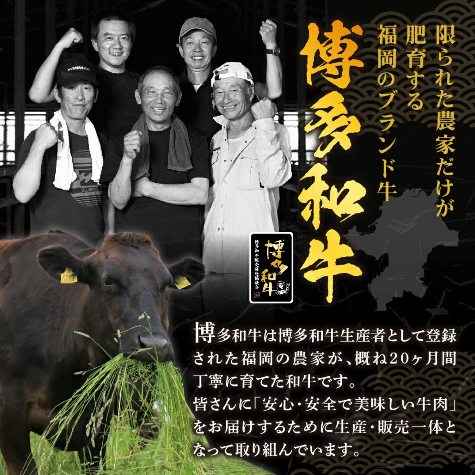 黒毛和牛 (博多和牛) 切り落とし 600g(200g×3パック）【伊豆丸商店】_HA1792