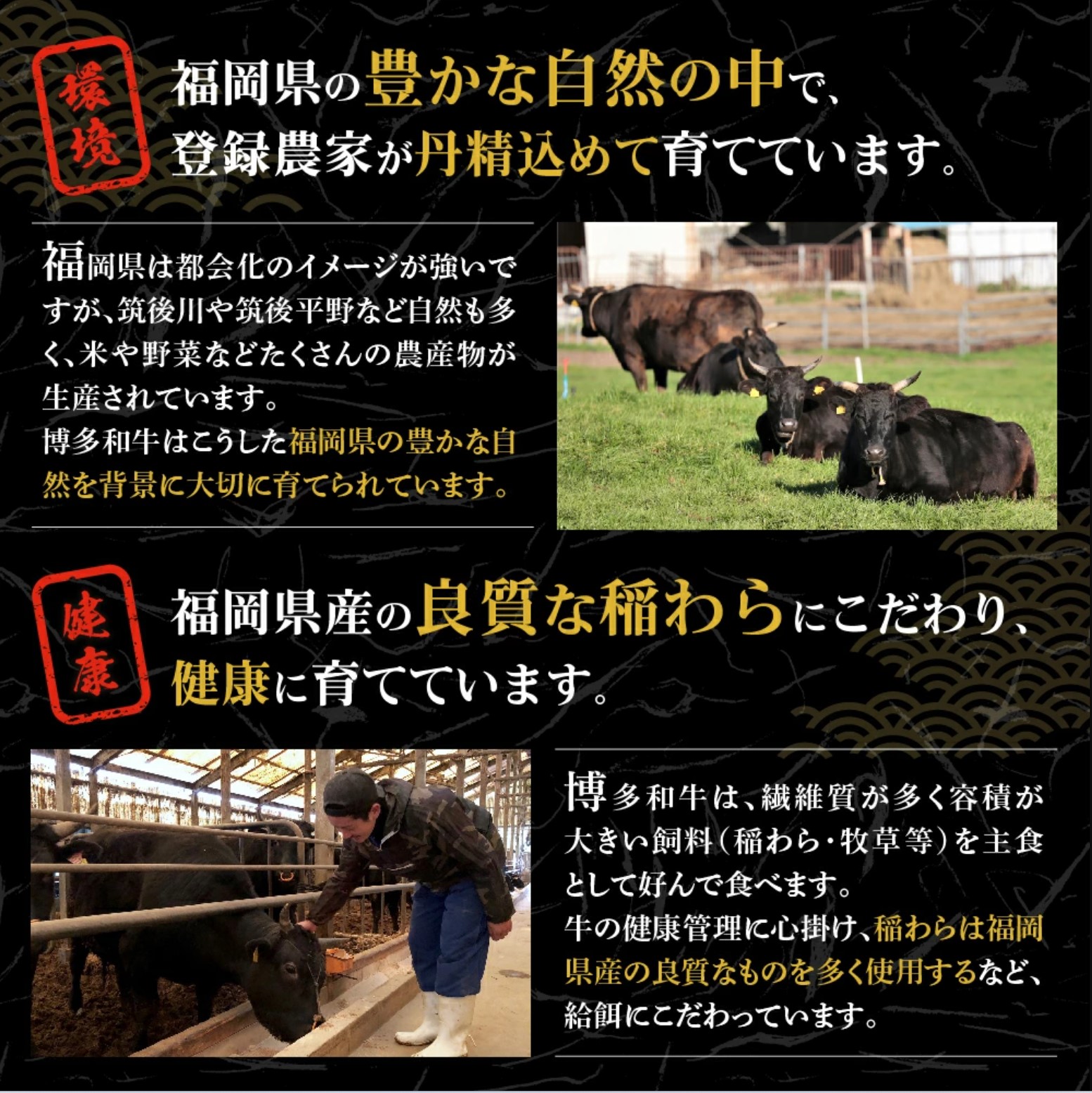 黒毛和牛 (博多和牛) 切り落とし 600g(200g×3パック）【伊豆丸商店】_HA1792