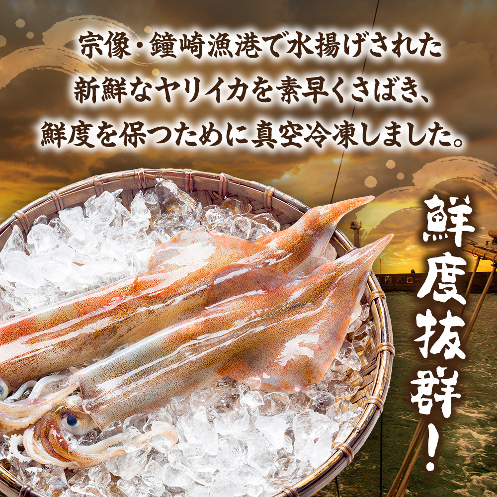 【年内お届け！】刺身用 新鮮ヤリイカ2杯セット(宗像鐘崎産)【マルケイ水産】_HA0416