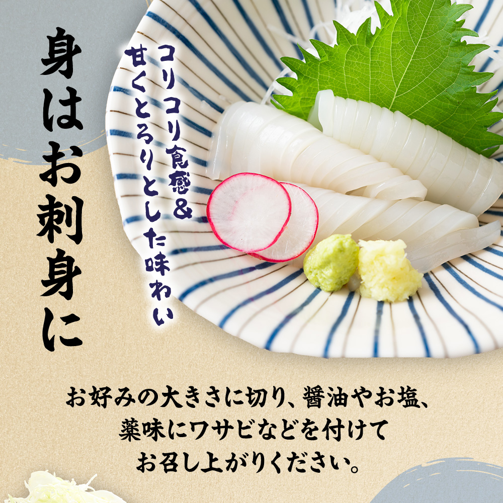 【年内お届け！】刺身用 新鮮ヤリイカ2杯セット(宗像鐘崎産)【マルケイ水産】_HA0416