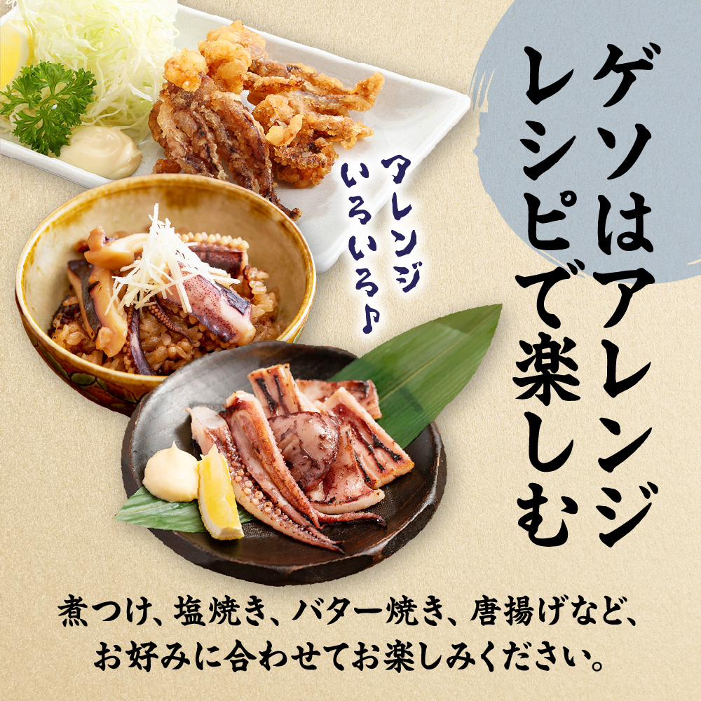 【年内お届け！】刺身用 新鮮ヤリイカ2杯セット(宗像鐘崎産)【マルケイ水産】_HA0416