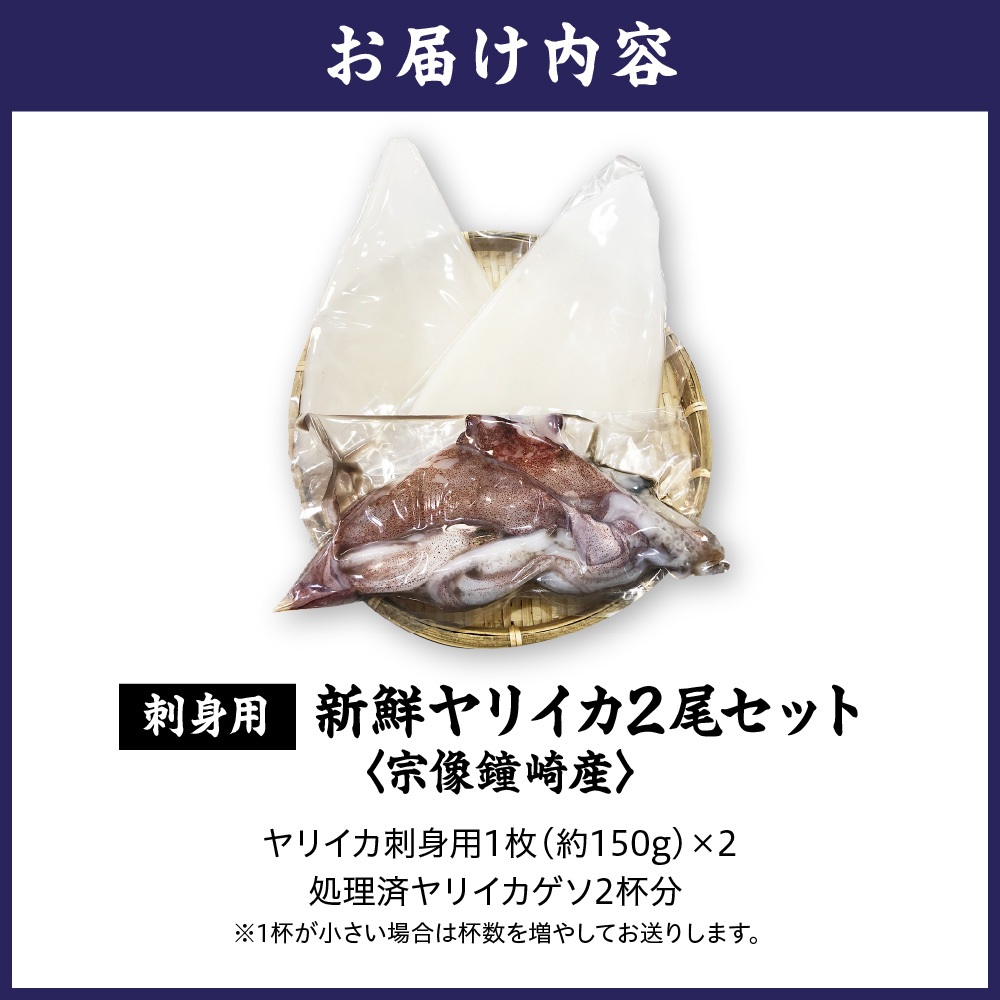 【年内お届け！】刺身用 新鮮ヤリイカ2杯セット(宗像鐘崎産)【マルケイ水産】_HA0416