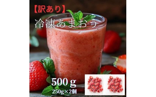 福岡県産 冷凍あまおう500g(250g×2個)【株式会社木村食品】_HA1739