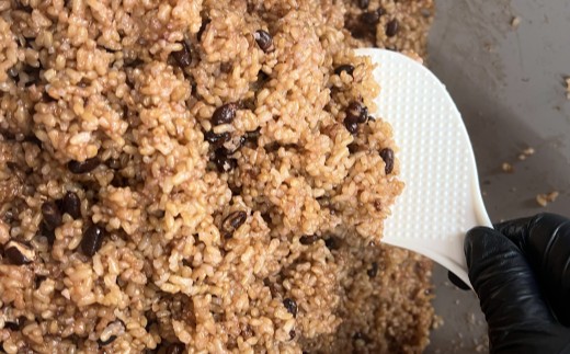 発芽酵素玄米 15食セット【MINORI CAFÉ 発酵食カフェ】_HA1772