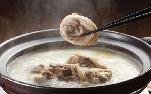 博多若杉水炊きセット（4～5人前）【株式会社Skyward】_HA1775