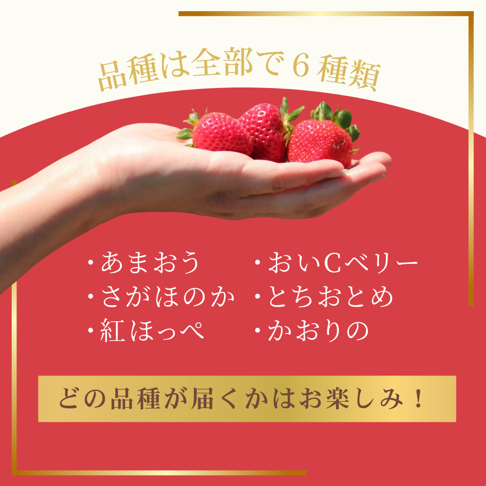 ãå®æäŸ¿ïŒ3ã¶æé£ç¶ãå±ããäœãå±ãããæ¥œãã¿ïŒäººæ°ã®ãã¡ã2åçš®é£ã¹æ¯ã¹å®æäŸ¿ çŽ300gÃ4P_HB0213