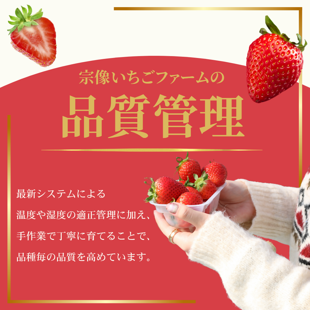 ãå®æäŸ¿ïŒ3ã¶æé£ç¶ãå±ããäœãå±ãããæ¥œãã¿ïŒäººæ°ã®ãã¡ã2åçš®é£ã¹æ¯ã¹å®æäŸ¿ çŽ300gÃ4P_HB0213