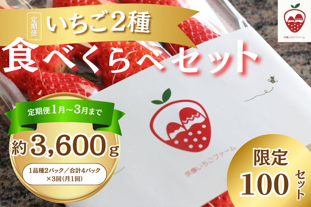 【3ヶ月毎月お届け】何が届くかお楽しみ！人気のいちご2品種食べ比べ定期便 約300g×4P_HB0213