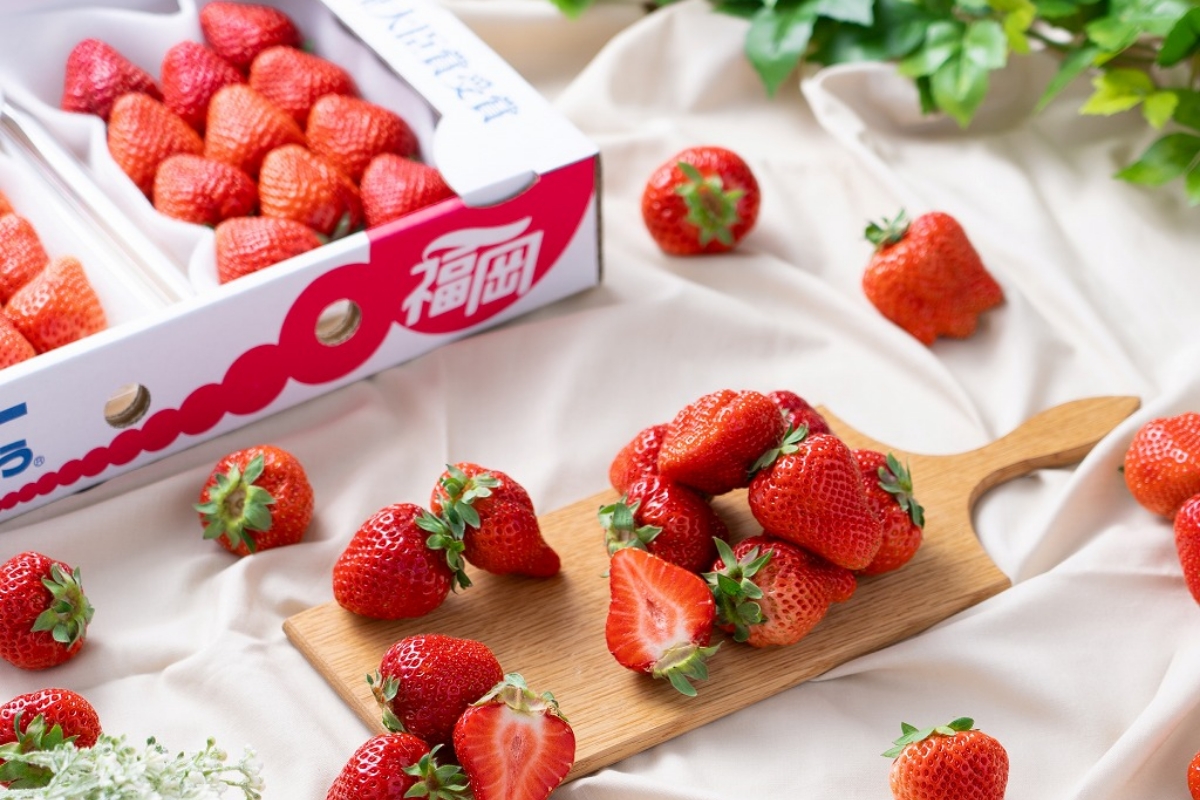 【2026年2月より順次発送】福岡産【春】あまおう6パック【南国フルーツ株式会社】_HA1907