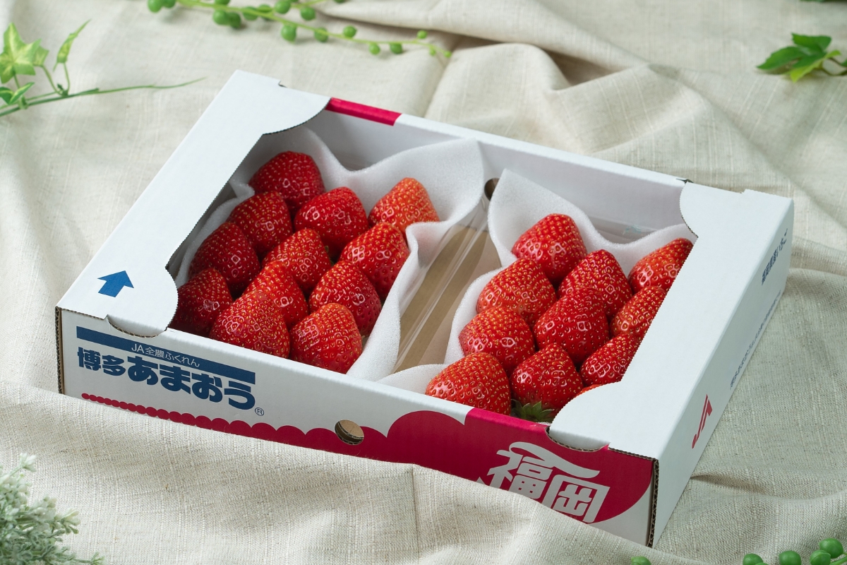 福岡産【冬】あまおうDX(デラックス)2パック【南国フルーツ株式会社】_HA1911