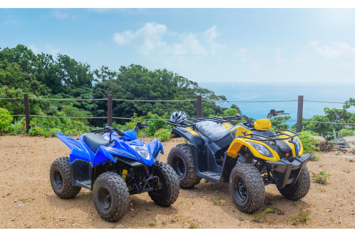 むなかた牛特選BBQコース＆バギー体験チケット　４名様【宗像大島リゾート】_HA1891