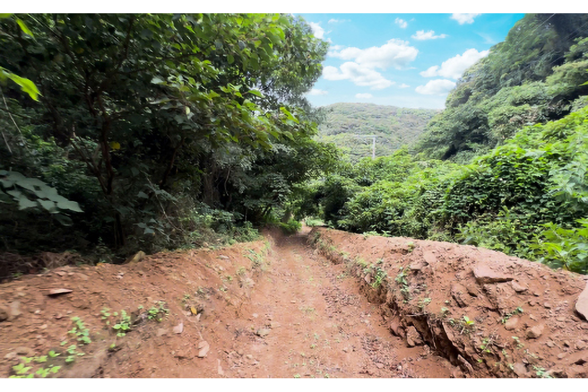 むなかた牛特選BBQコース＆バギー体験チケット　４名様【宗像大島リゾート】_HA1891