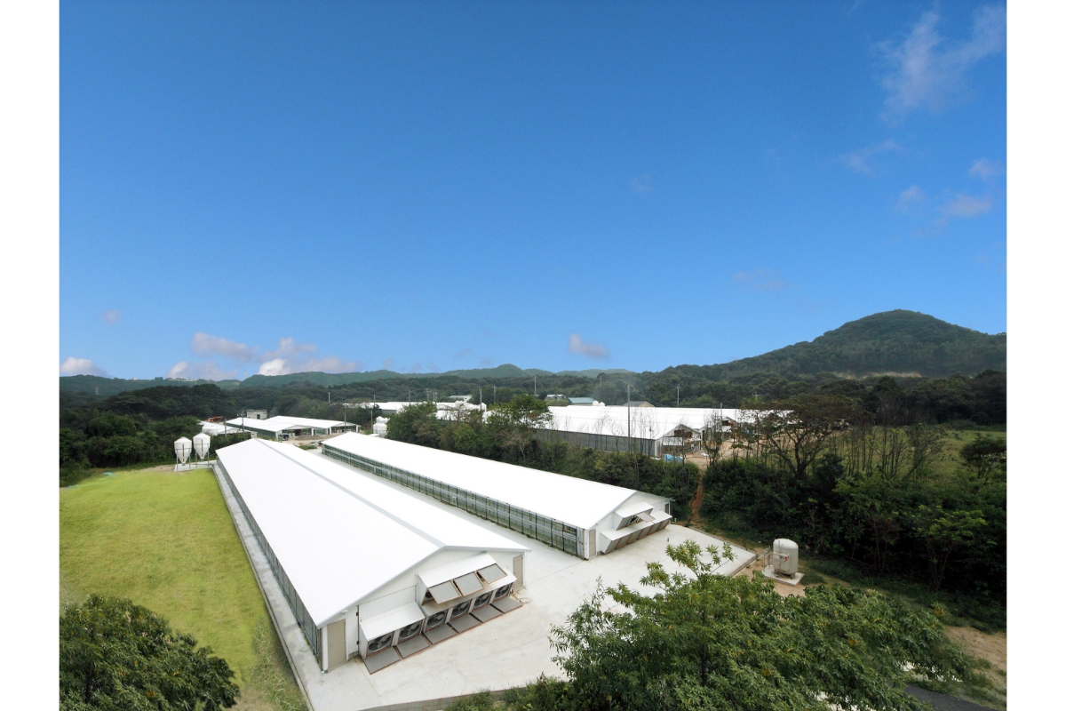 博多華味鳥 水たきセット(ちゃんぽん麵)【トリゼンフーズ】_HA1947