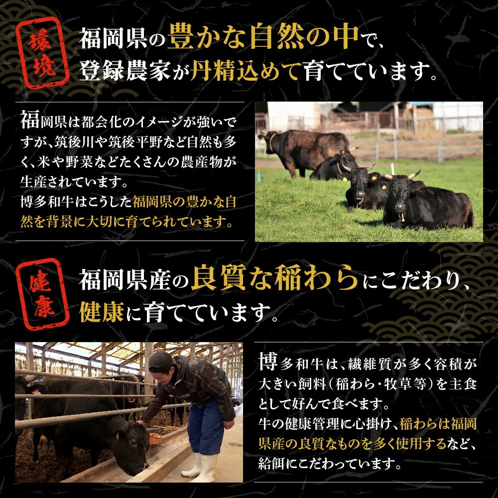 鮟呈ッ帛柱迚 (蜊壼、壼柱迚) 繝ュ繝シ繧ケ繧ケ繝繝シ繧ュ 100gテ2譫壹蝉シ願ア荳ク蝠蠎励狙HA0221