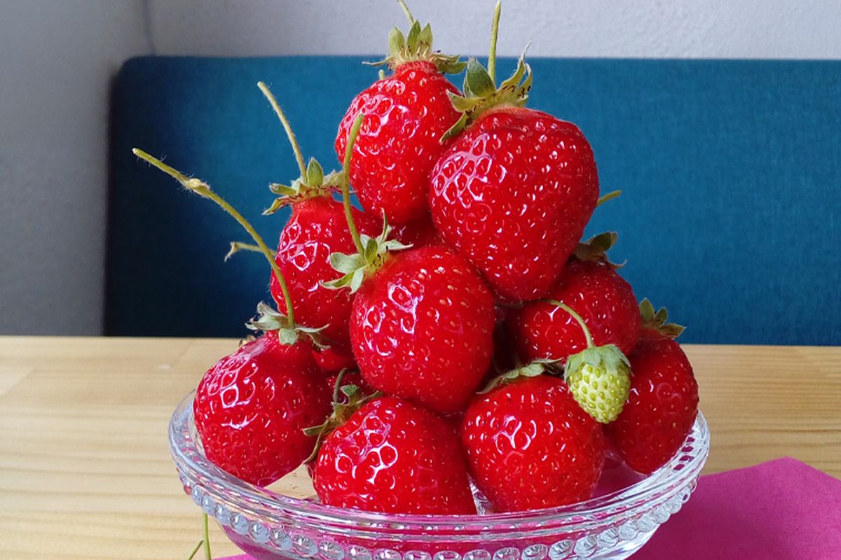 【2月15日～3月31日順次発送】福岡県産いちご「あまおう」270g×2パック【hurrah.】_HA1972