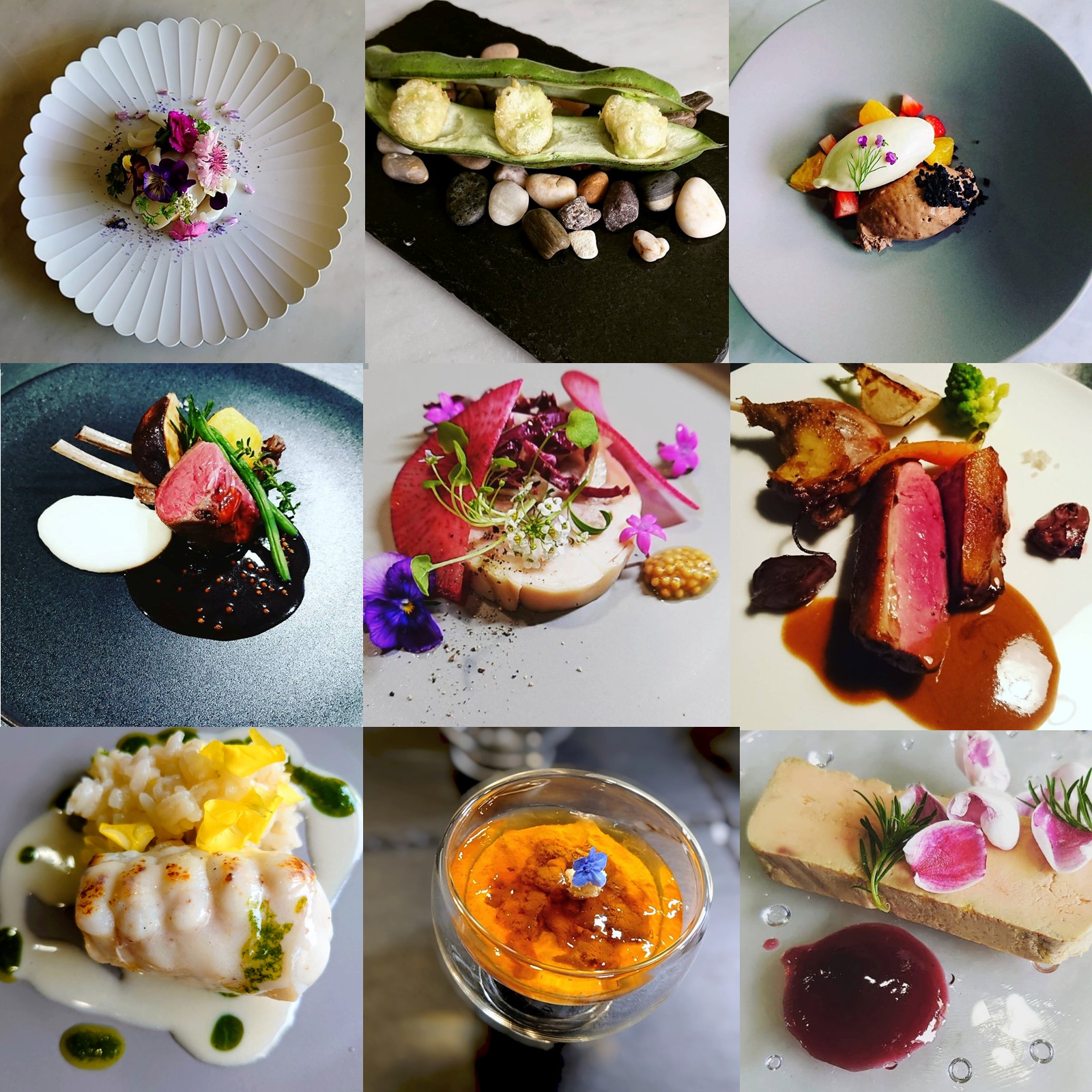 Munakata Cuisine Ishida ãã£ããŒãã¢(2åæ§)ãé£äºåž ã©ïœ¥ã¢ã³ã¿ãŒã㥠山 ã³ãŒã¹ãMunakata Cuisine Ishidaã_HA2017 é£äºåž ãã±ãã ã³ãŒã¹ ãã£ã㌠ã㢠ããŸãã èšå¿µæ¥ çŠå²¡çå®ååž å®ååž