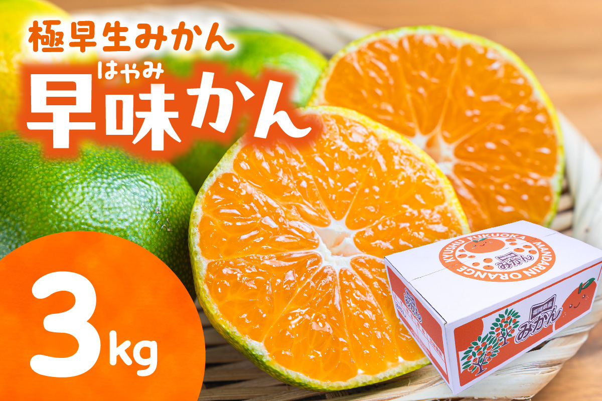 福岡県ブランド 極早生みかん「早味かん」3kg【JAほたるの里】_AS0886-00