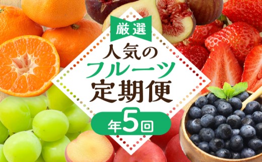 【定期便/年5回】JAむなかた厳選！人気フルーツ定期便【JAむなかた ほたるの里】_AM0164-00