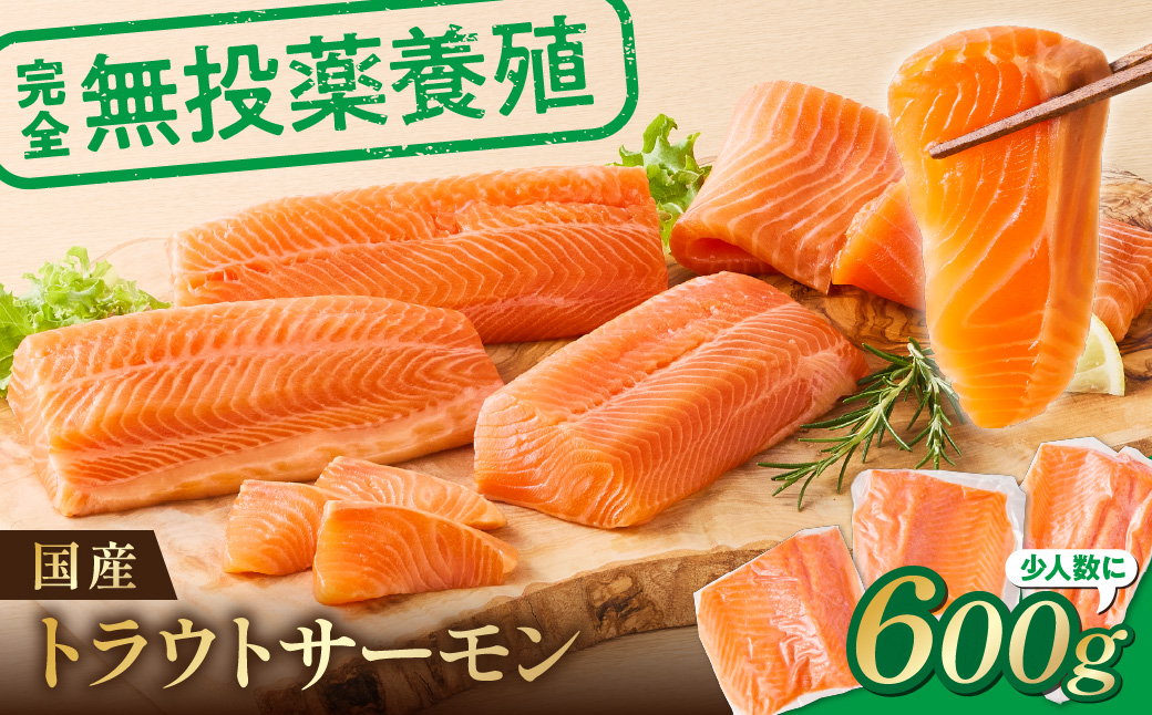 無投薬 国産 トラウトサーモン 小分け 600g以上 刺身用【宗像陸上養殖】_AS1982-00 無投薬 国産 鮭 サーモン 200 600 福岡県宗像市 宗像市 福岡 宗像