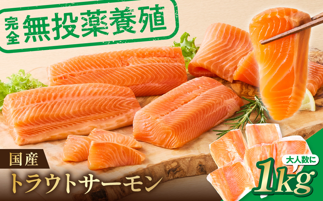無投薬 国産 トラウトサーモン 小分け 1kg以上 刺身用【宗像陸上養殖】_AS1983-00 無投薬 国産 鮭 サーモン 200 1000 福岡県宗像市 宗像市 福岡 宗像