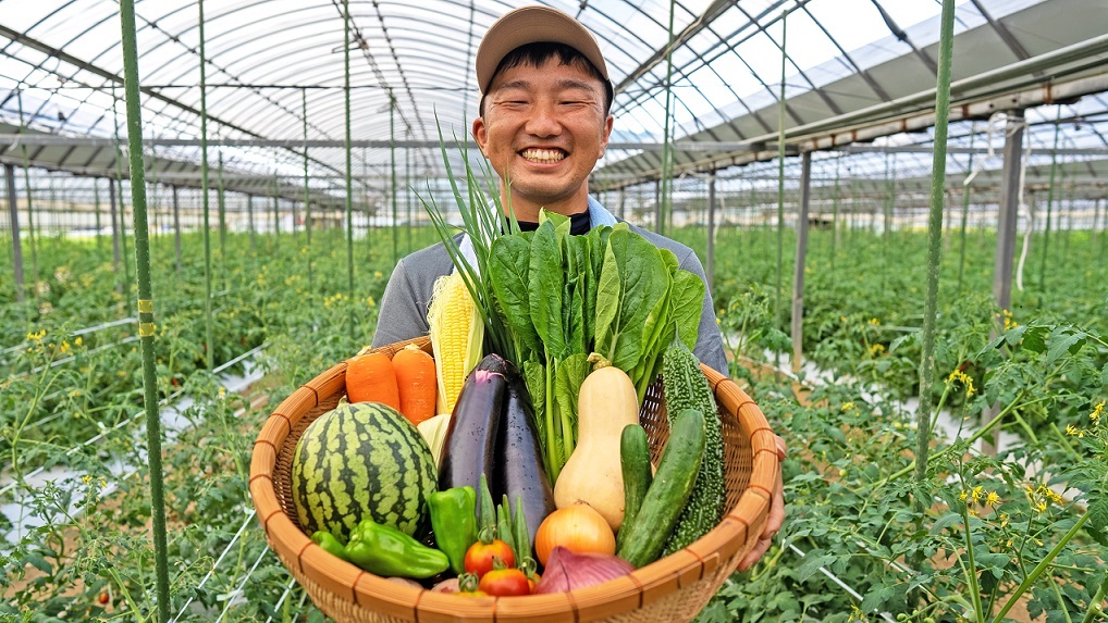 宗像とれたて　野菜・たまご・お米(5kg)セット【オアシス】_HA0777