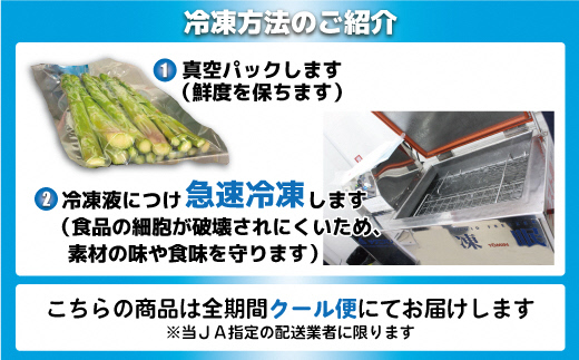 【ＪＡよりお届け】冷凍アスパラガス1kg（500g×2袋）【JAほたるの里】_HA0839