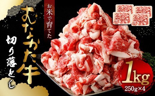 お米で育てた むなかた牛 切り落とし 計1kg(250g×4パック) 小分け 牧場直送【すすき牧場】_HA0854