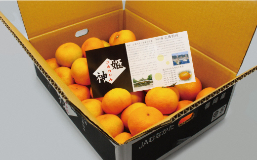 福岡県ブランド 極早生みかん「早味かん」5kg【JAほたるの里】_HA0887