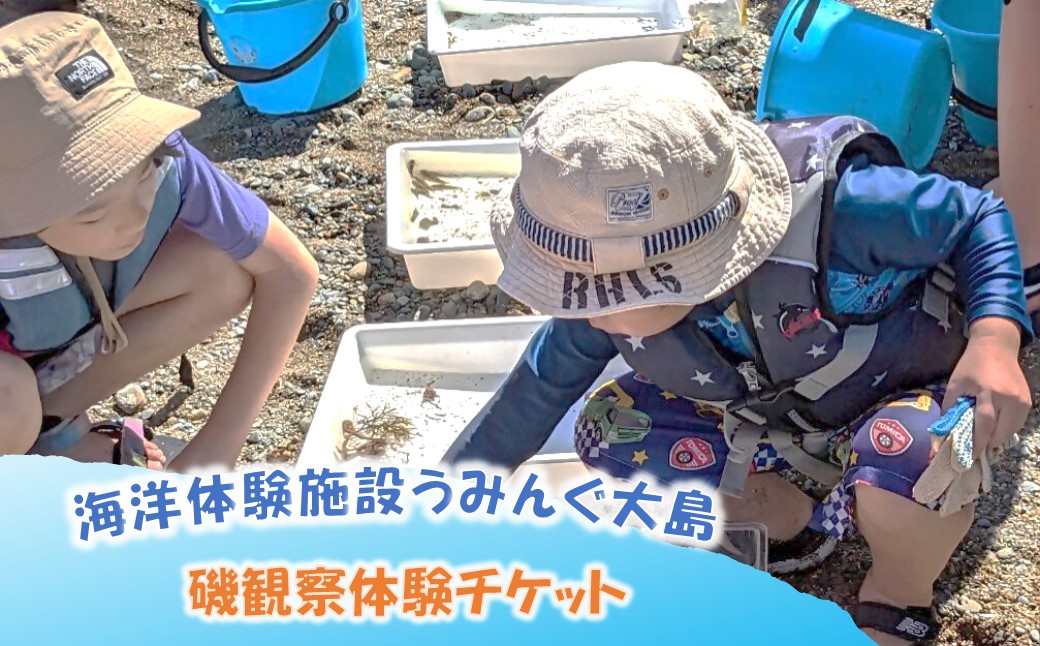 海洋体験施設うみんぐ大島 磯観察1名様分【(㈱)むなかた大島】_HA2026 体験 チケット 福岡県宗像市 宗像市 福岡 宗像