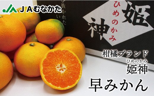 JAむなかたブランド姫神「早味かん」5kg【JAほたるの里】_HA0887