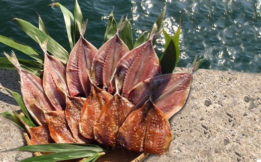 宗像大島で獲れた「鮮魚の干物」の詰め合わせセット【10～11枚】【JAほたるの里】_HA0264