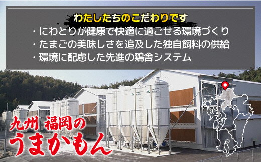 JAむなかたよりお届け！宗像たまご30個（27個＋補償3個）【JAほたるの里】_HA0915