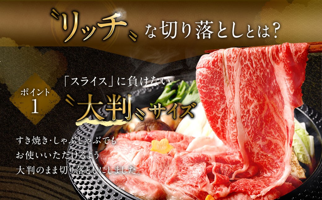 【食べ比べ】 佐賀牛 ＆ 博多和牛 リッチな霜降り 大判 切り落とし 1kg （500g×2） ／ 2種類 黒毛和牛 黒毛和種 和牛 牛肉 お肉 肉 霜降り 九州 福岡県 太宰府市 冷凍