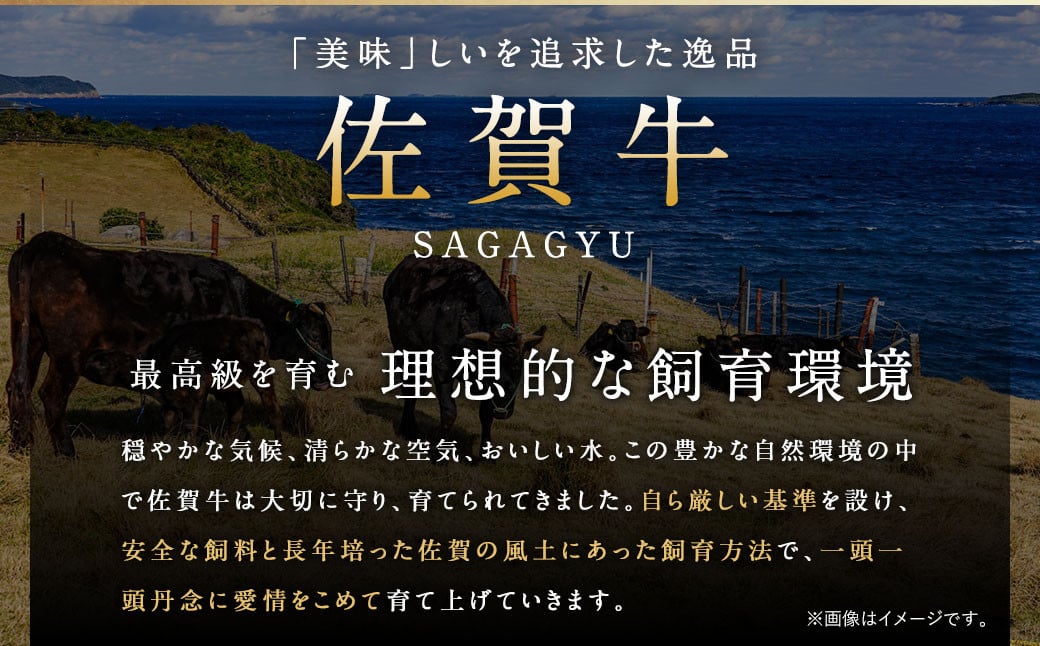 訳あり 佐賀牛 切り落とし 1.8kg（600g×3パック）【2025年2月発送】国産 和牛 牛肉 お肉 肉 冷凍