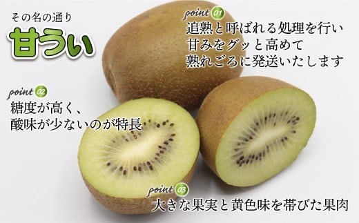 福岡県ブランドキウイフルーツ「 博多甘うぃ 」 化粧箱 大玉 9玉 約1.4kg 【2026年11月上旬～11月下旬発送予定】