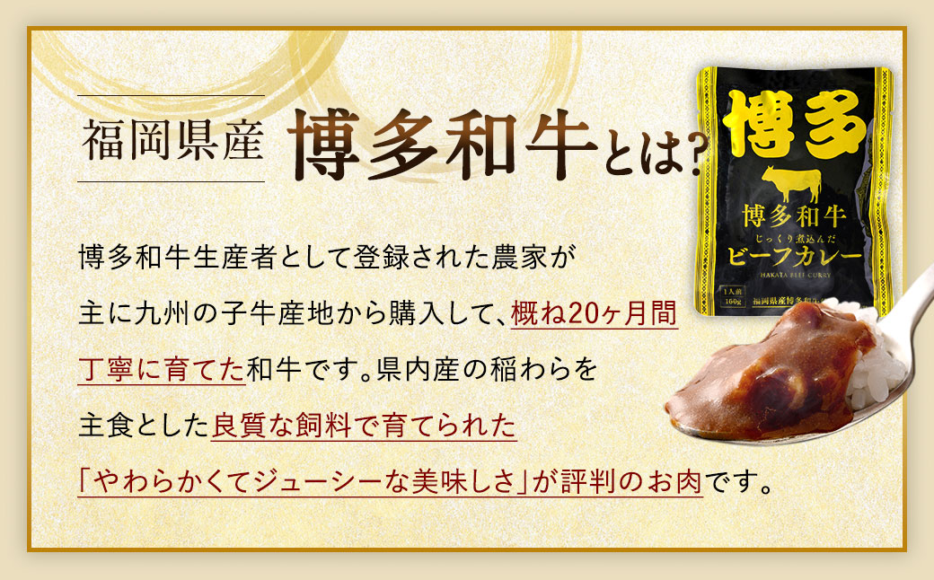 【9月30日で受付終了】【福岡県産博多和牛使用】博多和牛じっくり煮込んだビーフカレー レトルト 30人前