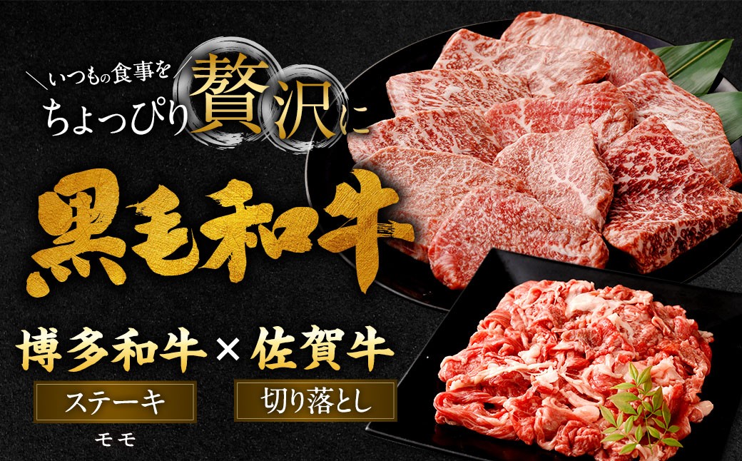 博多和牛 ステーキ （モモ） 10枚 （計約1kg） ＋ 佐賀牛 切り落とし 400g ／ 黒毛和牛 黒毛和種 和牛 牛肉 お肉 肉 もも モモ肉 もも肉 霜降り セット 国産 九州 福岡県 太宰府市 冷凍