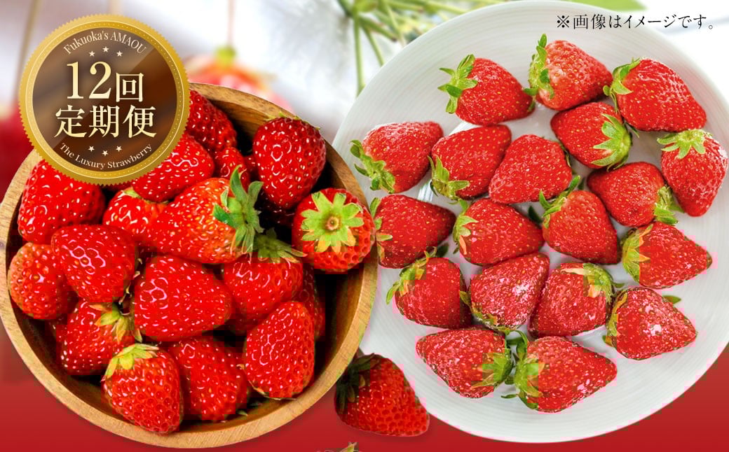 【12ヶ月定期便】 【いちごの年間定期便】 福岡県産あまおう （フレッシュあまおう・冷凍あまおう） いちご イチゴ 冷凍いちご あまおう  冷凍あまおう 果物 くだもの 国産 福岡県産 定期便 冷蔵 冷凍 
