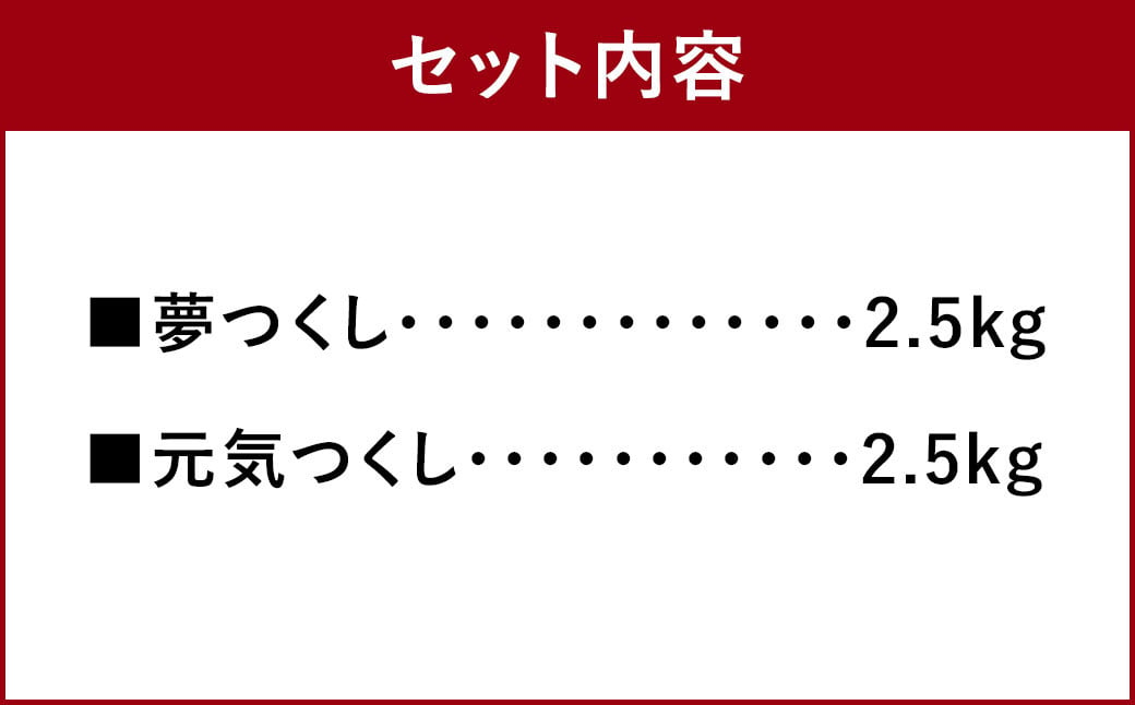 【令和6年産】福岡の美味しいお米 夢つくし ＆ 元気つくし 各2.5kg 合計5kg 精米 お米 米 ブランド米 福岡県産 国産