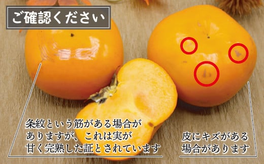 繝悶Λ繝ウ繝画涸 縲 遘狗視 縲咲エ3.5kg 6蛟具ス14蛟句・繧翫2026蟷エ10譛井ク区流ス11譛井ク区流逋コ騾∽コ亥ョ壹