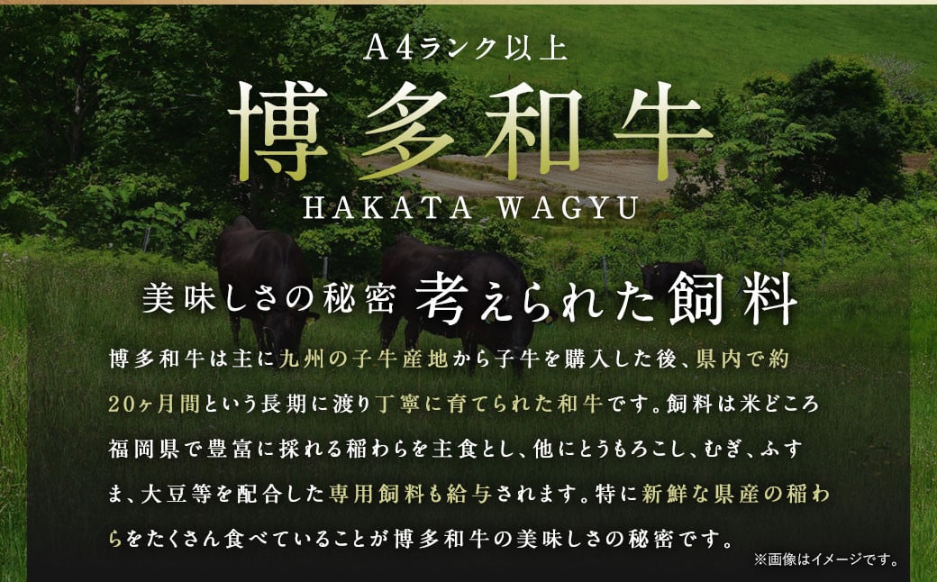 訳あり 佐賀牛 ＆ 博多和牛 切り落とし 2.4kg（各600g×2パック）国産 和牛 牛肉 お肉 肉 冷凍