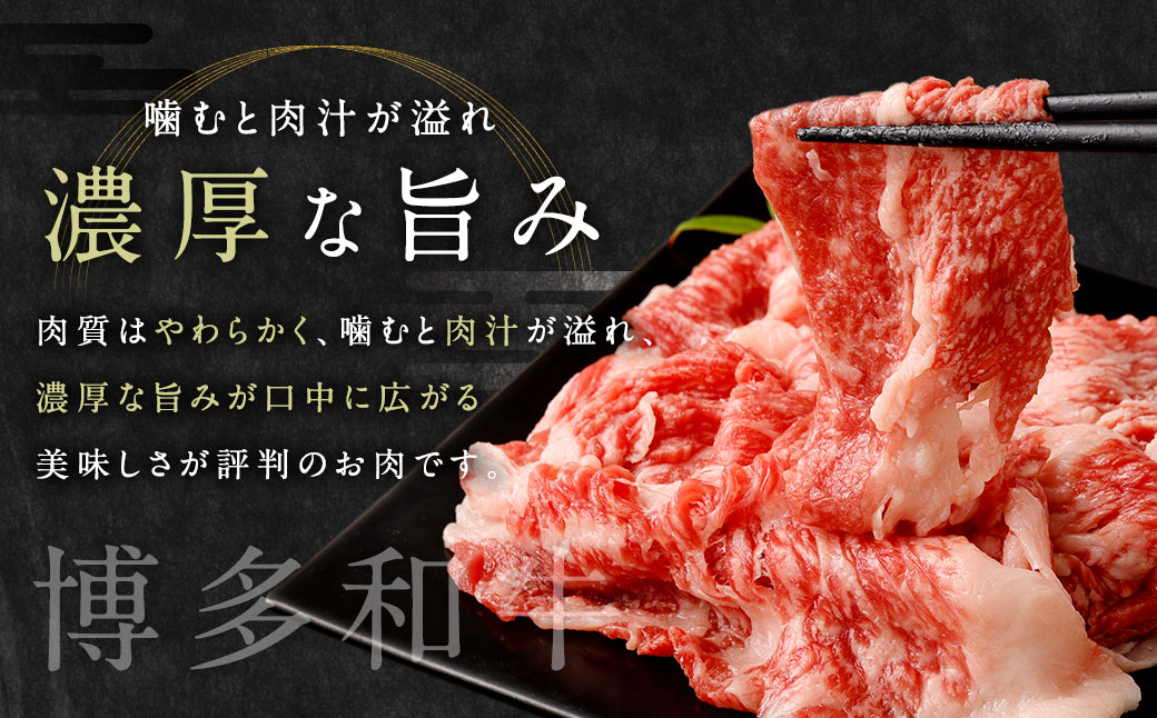 佐賀牛 ＆ 博多和牛 切り落とし 1.2kg (600g×2P) 肉 牛肉 国産 冷凍 バラ 肩