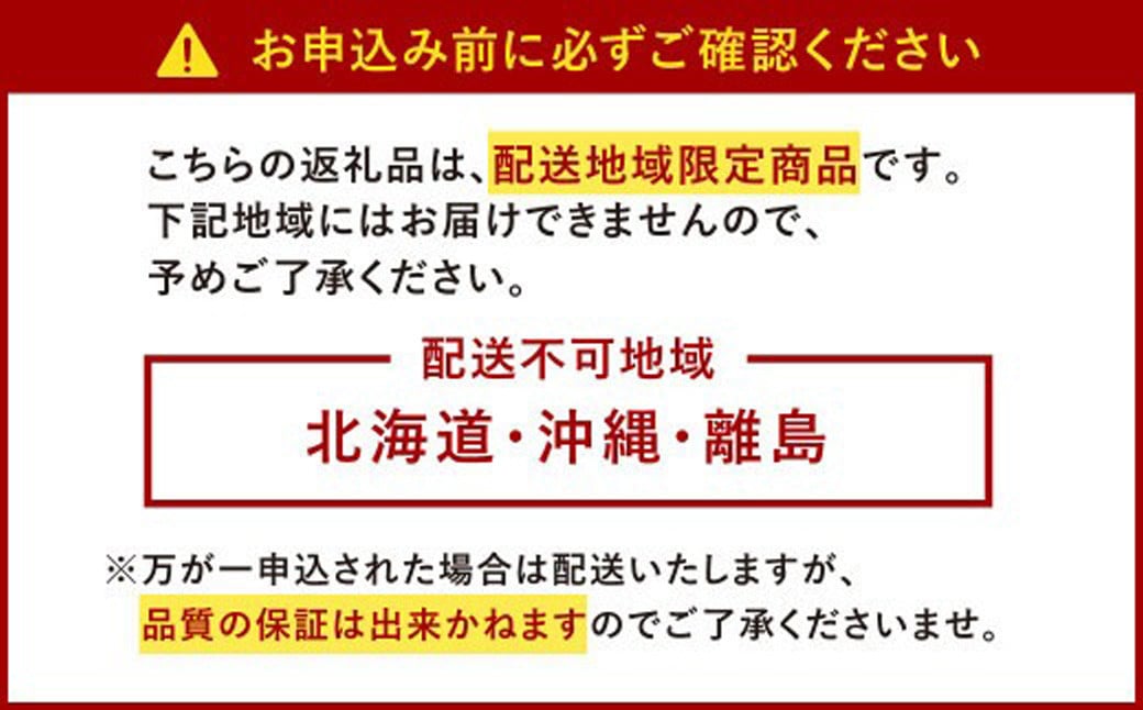 【アフター保証】うるう農園 あまおう DX等級 4パック （約1140g）【2024年12月上旬～2025年1月下旬発送予定】 いちご イチゴ 苺 フルーツ 果物