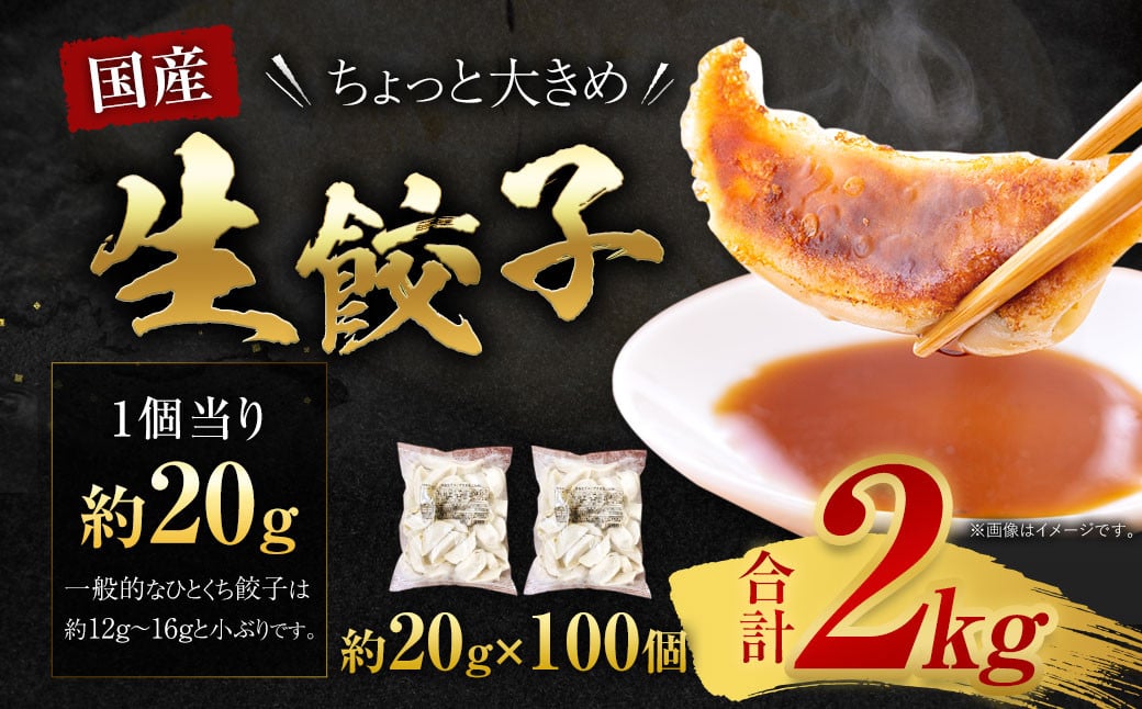 訳あり！ちょっと大きめ 国産 生餃子 (ラー麦使用) 100個 2kg ＆ 辛子