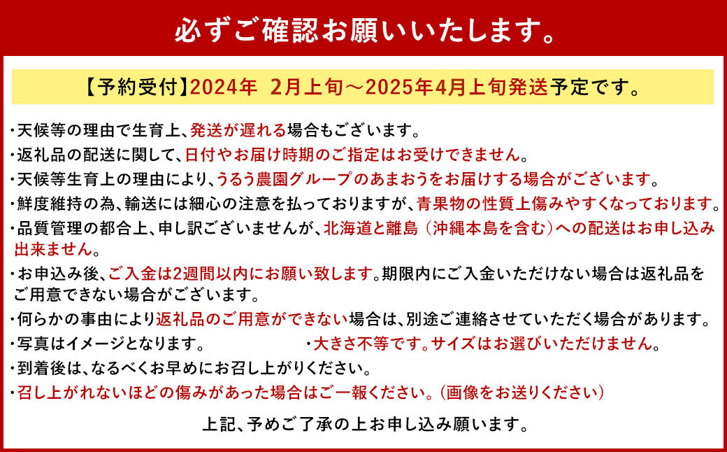 【特別栽培/有機質肥料/アフター保証】うるう農園 あまおう サイズ色々 4パック （約1140g）【2025年2月上旬～2025年4月上旬発送予定】 いちご イチゴ 苺 フルーツ 果物